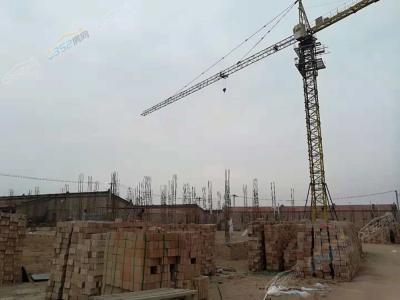 2018.11.3�����M��7#9#11#��