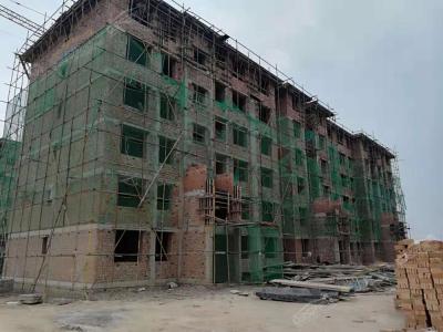 2018.11.3�����M��10#��