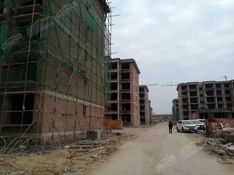 2018.11.3�����M��