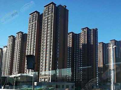 2018.11.13�Ռ����D