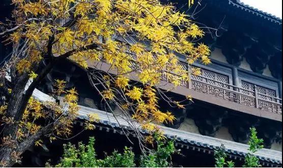 16165118a210d21aac8764.jpg 16165118a210d21aac8764.jpg