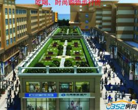 �㰲����V��