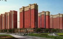 ��͡�����