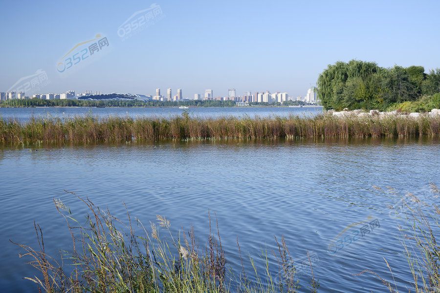 301652296ae7df649a8922.jpg 301652296ae7df649a8922.jpg