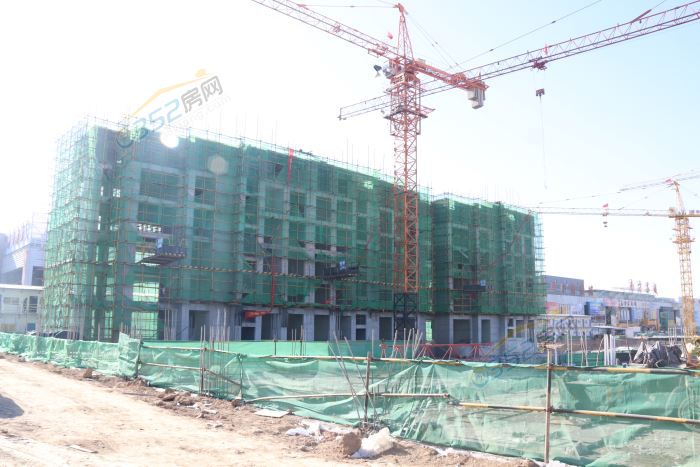 251617565768dd0d2e0701.jpg IMG_4349.JPG