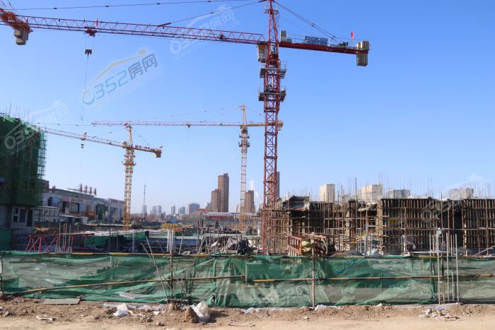 2516182459c40ae9a71105.jpg IMG_4348.JPG