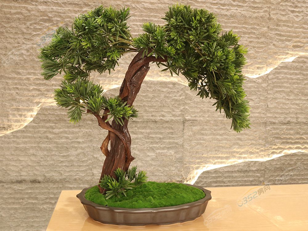 080925174e4e0c70674954.jpg 080925174e4e0c70674954.jpg