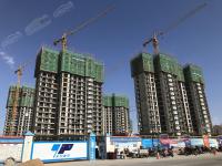 ������������2019.3.5�����M��