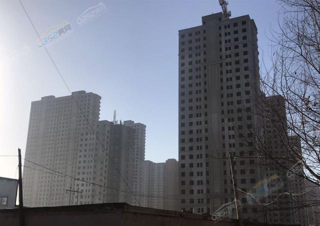 2019.3.5�����M��