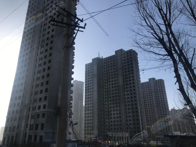 2019.3.5�����M��