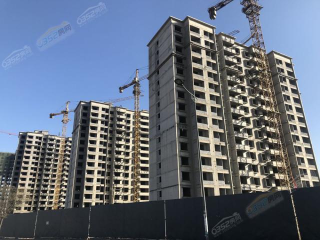 2019.3.5�����M��