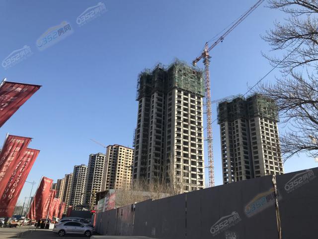 2019.3.5�����M��