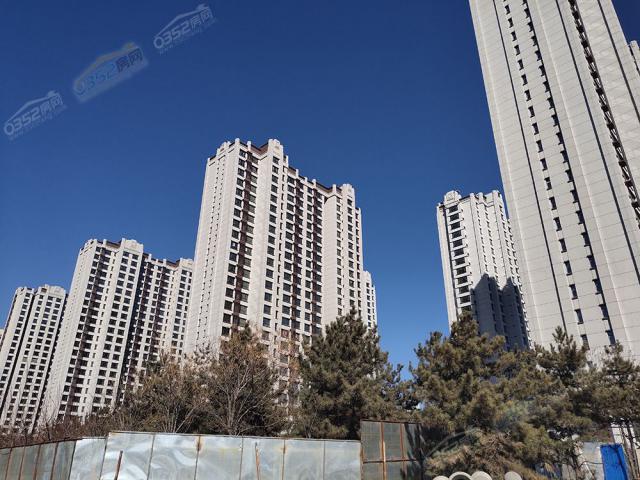 2019.3.7�Ռ�(sh��)���D