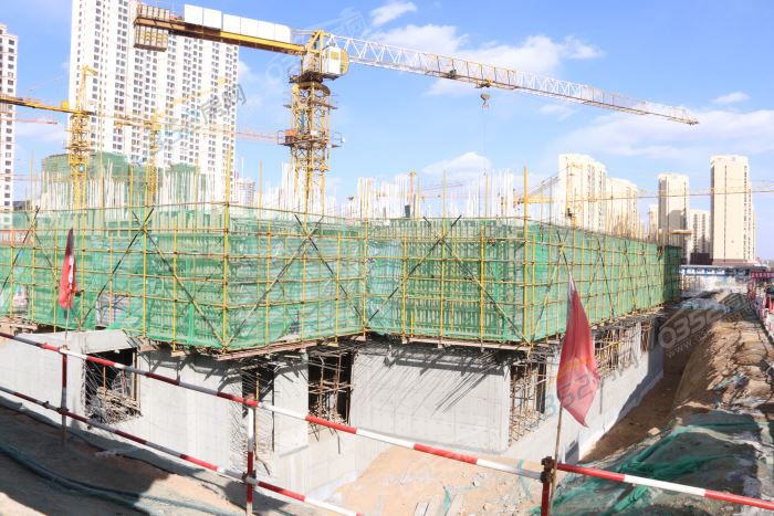 121638117d584343a08785.jpg IMG_5114.JPG