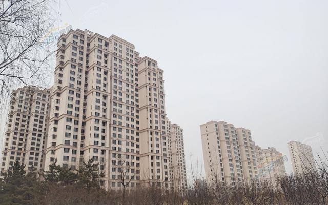 ���������D