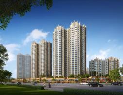 �����ݾ�������