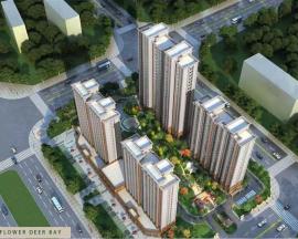 �ͅR����¹��