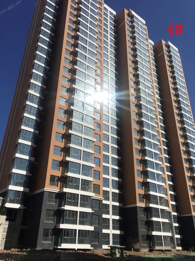 2019.3.19���\�A��4#