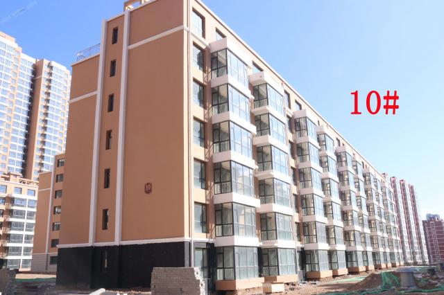 2019.3.19���\�A��10#