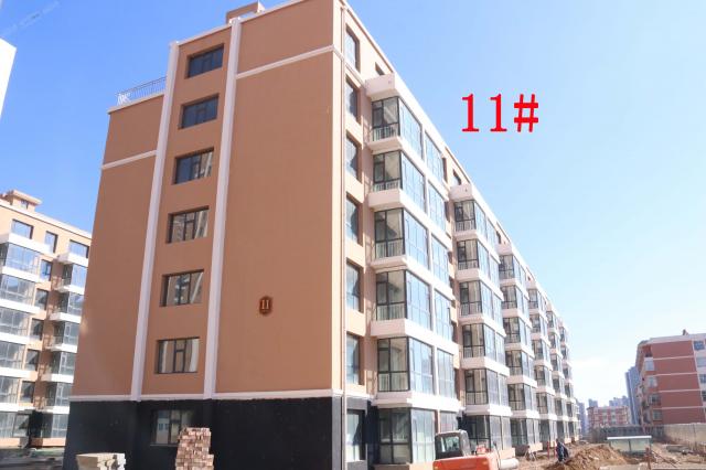 2019.3.19���\�A��11#