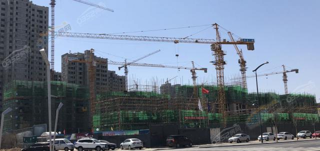 4.23�����M��