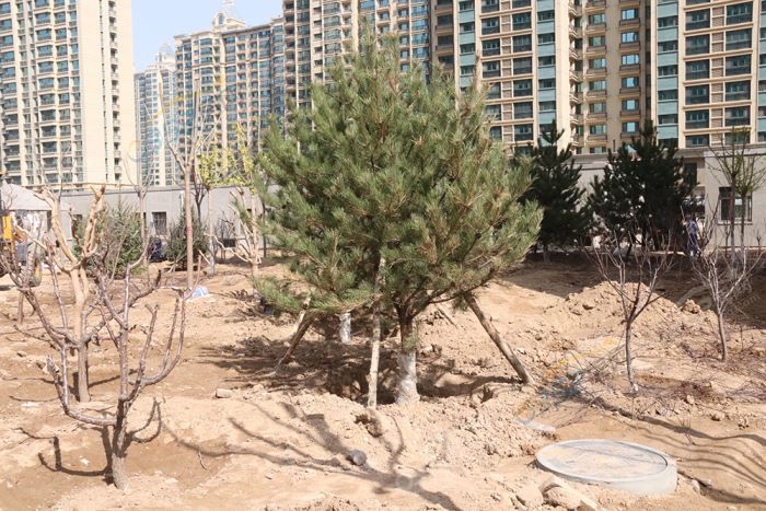 2316354995785f2e259565.jpg IMG_6872wps圖片.JPG