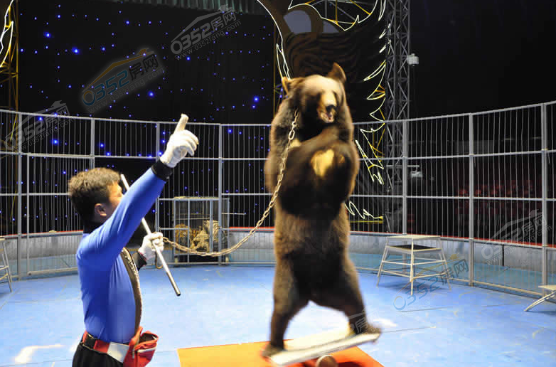 25151004c6887464721449.png 25151004c6887464721449.png