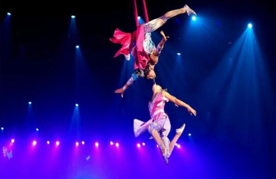 25151022876b3faae61199.png 25151022876b3faae61199.png