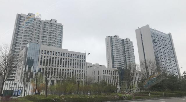 2019.4.25�����M��