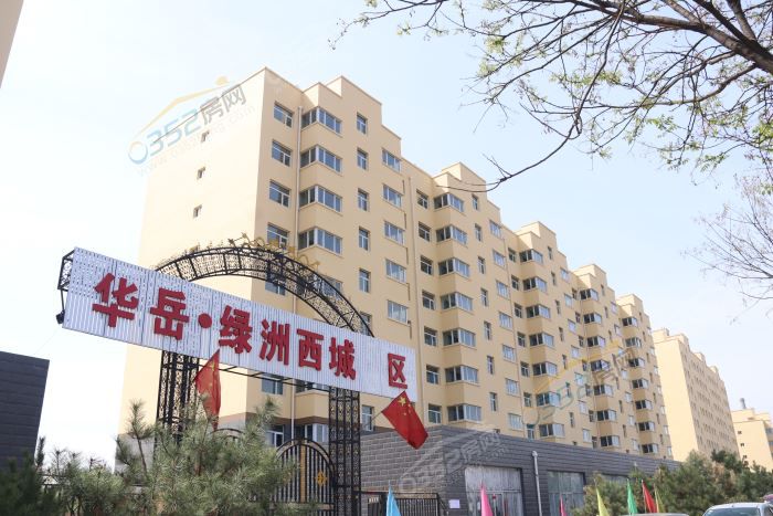 081602002ef37760bd8217.jpg IMG_7597.JPG