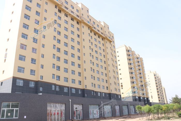 081602103ef5d5467d7224.jpg IMG_7602.JPG