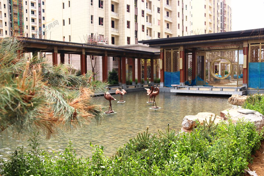 1015251934cf39bd730522.jpg 1015251934cf39bd730522.jpg