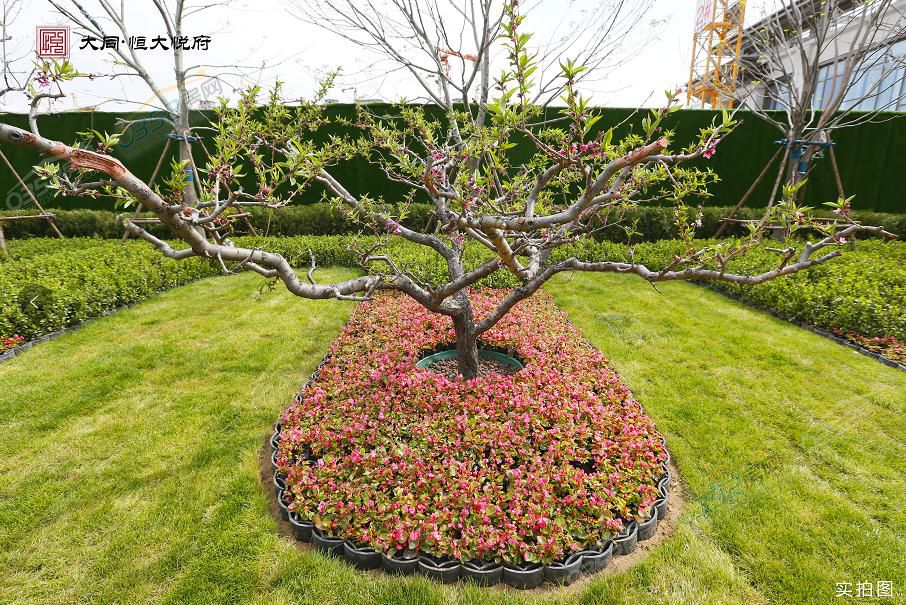 131058427731eb28c87061.jpg 131058427731eb28c87061.jpg