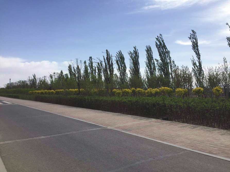 14091254422252c9146803.jpg 14091254422252c9146803.jpg