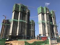 ������2019.5.25�����M��