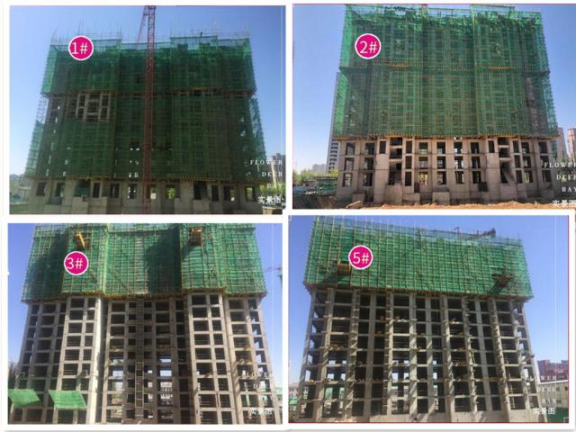 ��¹��5�¹����M��