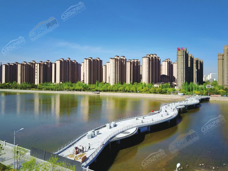 15165545f91adb81db3527.jpg 1000 (1).jpg