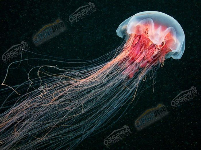 191552441e07f61cc93191.jpg 191552441e07f61cc93191.jpg