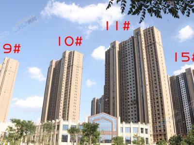 2019.7.23��9/10/11/15#��(sh��)���D