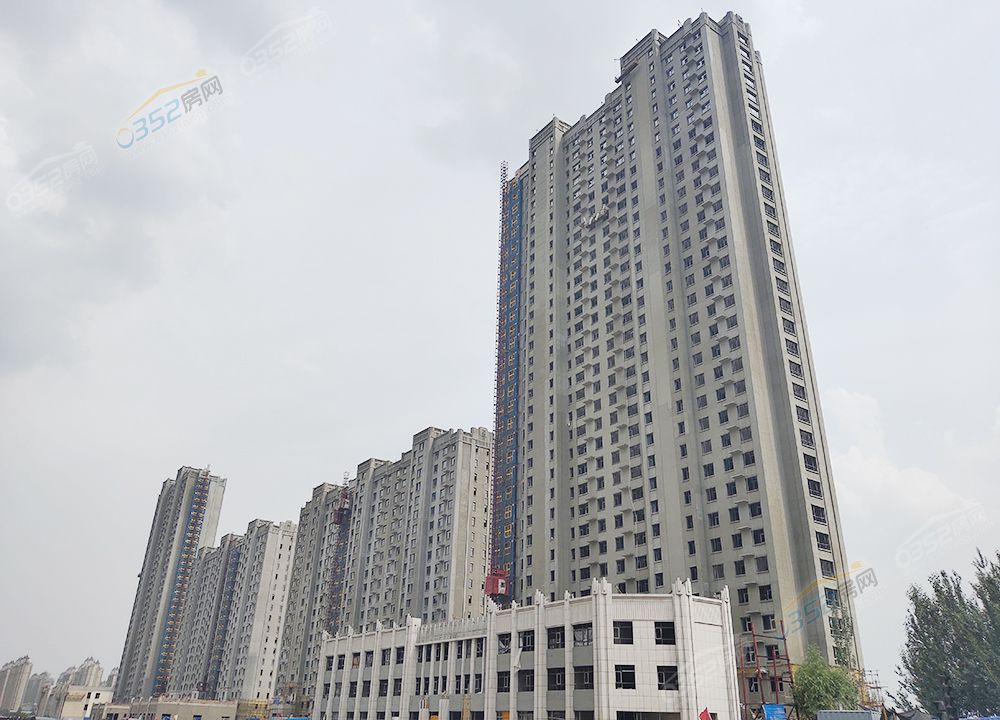 251100395de19eded52530.jpg 251100395de19eded52530.jpg