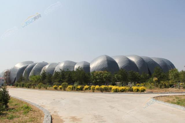 �����^���w���^