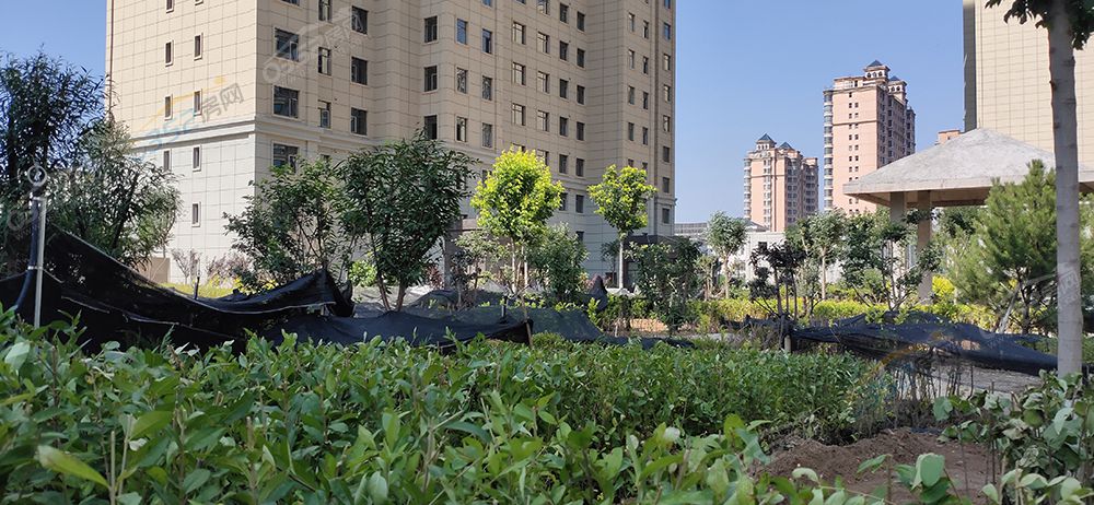 291705149794b549e69061.jpg 291705149794b549e69061.jpg