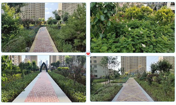 081644377768b481a26235.jpg 811394_1565253686.jpg