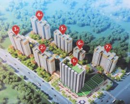 ���ǡ��Ĳ���