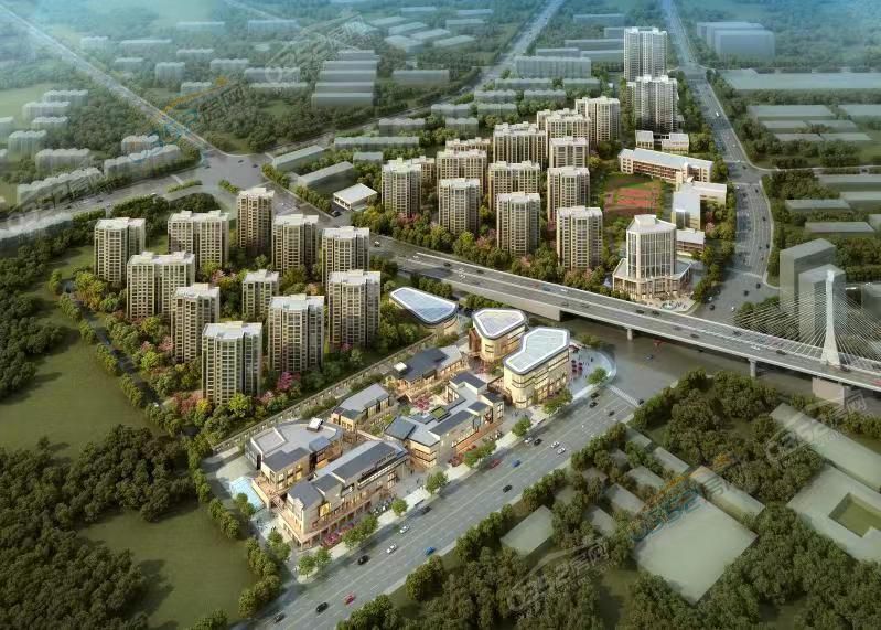 ͩ������