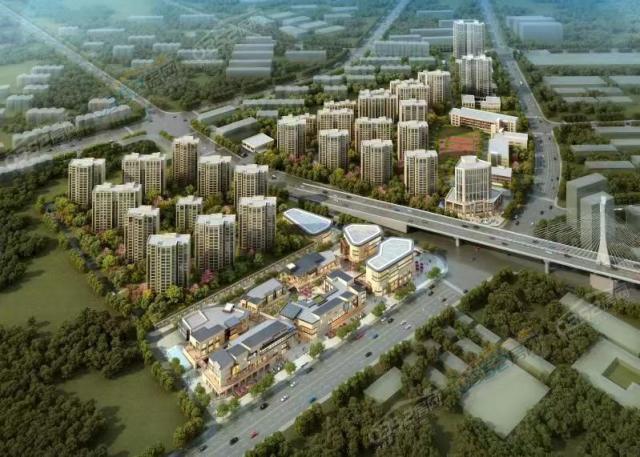 ͩ�������BD