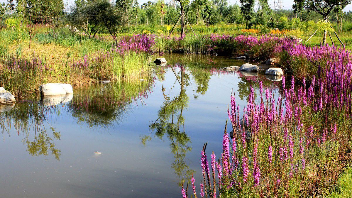 31170744464ed31e1d5559.jpg 31170744464ed31e1d5559.jpg