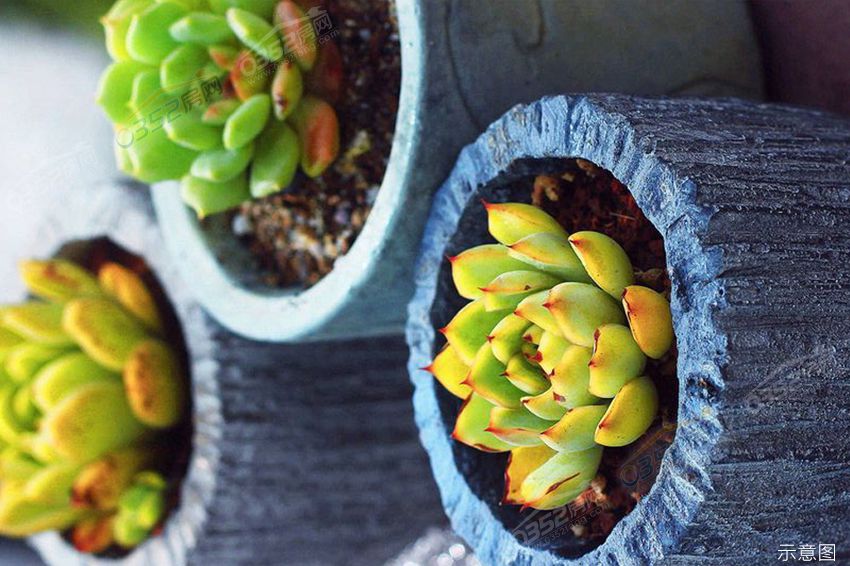 02100920caa1f5af777823.jpg 02100920caa1f5af777823.jpg