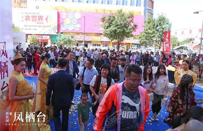 02101448292cb45fae3312.jpg 9.jpg