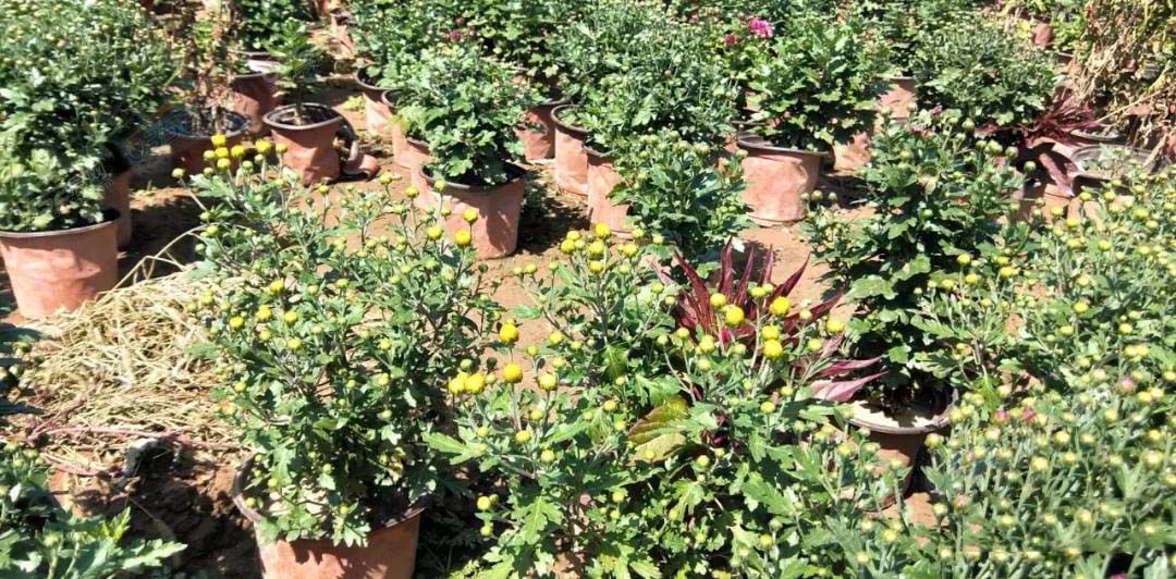 0315064617a2194d445451.jpg 0315064617a2194d445451.jpg